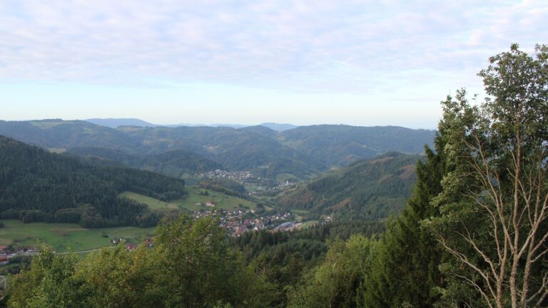 Dieses Bild zeigt eine Webcam-Aufnahme vom Achertal, aufgenommen am Dienstag, den 22.09.2026 um 08:30 Uhr. Die Temperatur betrug 11°C.
