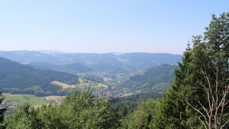 Dieses Bild zeigt eine Webcam-Aufnahme vom Achertal, aufgenommen am Montag, den 22.06.2026 um 12:20 Uhr. Die Temperatur betrug 29.1°C.
