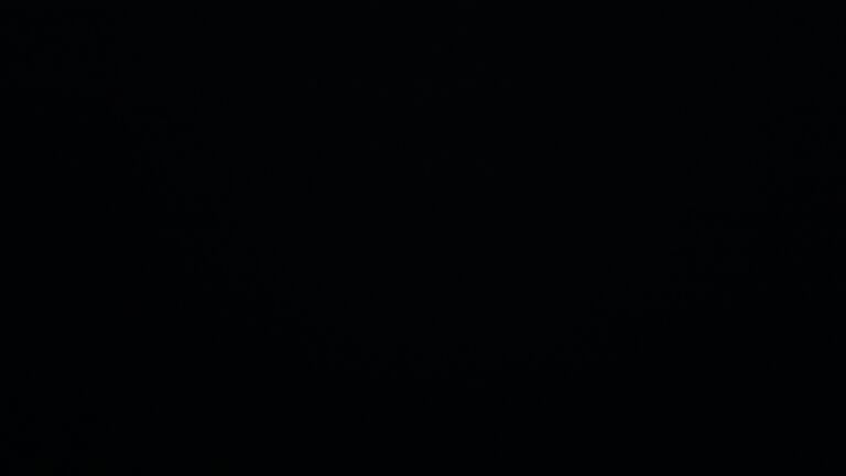 Dieses Bild zeigt eine Webcam-Aufnahme vom Achertal, aufgenommen am Dienstag, den 29.07.2025 um 04:20 Uhr. Die Temperatur betrug 9.4°C.
