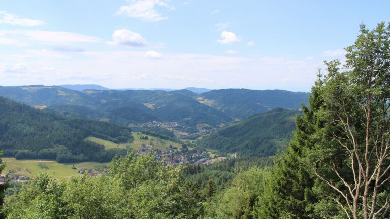 Dieses Bild zeigt eine Webcam-Aufnahme vom Achertal, aufgenommen am Freitag, den 17.07.2026 um 12:40 Uhr. Die Temperatur betrug 24.2°C.