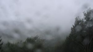 Dieses Bild zeigt eine Webcam-Aufnahme vom Achertal, aufgenommen am Sonntag, den 30.08.2026 um 10:30 Uhr. Die Temperatur betrug 14.9°C.