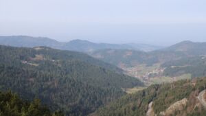 Dieses Bild zeigt eine Webcam-Aufnahme vom Achertal, aufgenommen am Samstag, den 07.03.2026 um 09:10 Uhr. Die Temperatur betrug 9.7°C.