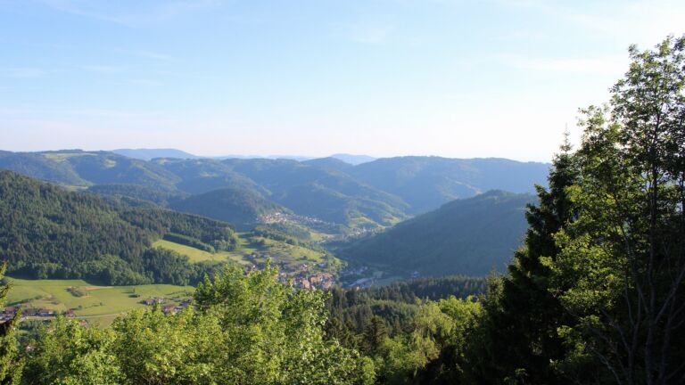 Dieses Bild zeigt eine Webcam-Aufnahme vom Achertal, aufgenommen am Freitag, den 22.05.2026 um 19:20 Uhr. Die Temperatur betrug 24.8°C.
