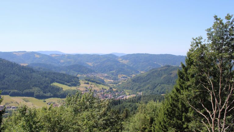 Dieses Bild zeigt eine Webcam-Aufnahme vom Achertal, aufgenommen am Dienstag, den 28.07.2026 um 12:50 Uhr. Die Temperatur betrug 25.2°C.
