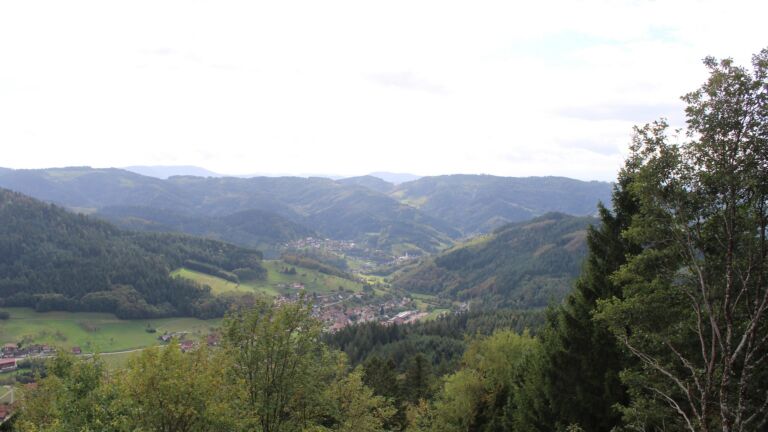 Dieses Bild zeigt eine Webcam-Aufnahme vom Achertal, aufgenommen am Samstag, den 10.10.2026 um 14:50 Uhr. Die Temperatur betrug 11.7°C.