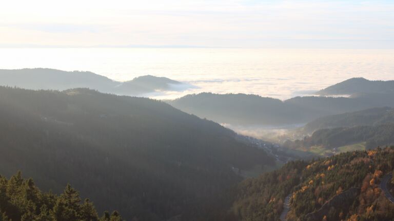 Dieses Bild zeigt eine Webcam-Aufnahme vom Achertal, aufgenommen am Freitag, den 07.11.2025 um 16:20 Uhr. Die Temperatur betrug 11.2°C.