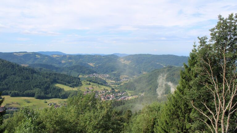 Dieses Bild zeigt eine Webcam-Aufnahme vom Achertal, aufgenommen am Freitag, den 17.07.2026 um 10:20 Uhr. Die Temperatur betrug 23.1°C.