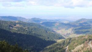 Dieses Bild zeigt eine Webcam-Aufnahme vom Achertal, aufgenommen am Sonntag, den 01.03.2026 um 10:30 Uhr. Die Temperatur betrug 5°C.