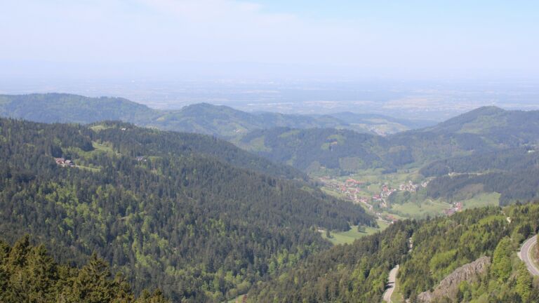 Dieses Bild zeigt eine Webcam-Aufnahme vom Achertal, aufgenommen am Mittwoch, den 29.04.2026 um 11:50 Uhr. Die Temperatur betrug 11.1°C.