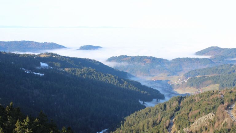 Dieses Bild zeigt eine Webcam-Aufnahme vom Achertal, aufgenommen am Dienstag, den 20.01.2026 um 10:30 Uhr. Die Temperatur betrug 8.8°C.