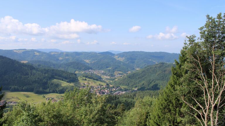 Dieses Bild zeigt eine Webcam-Aufnahme vom Achertal, aufgenommen am Donnerstag, den 23.07.2026 um 10:40 Uhr. Die Temperatur betrug 17.5°C.