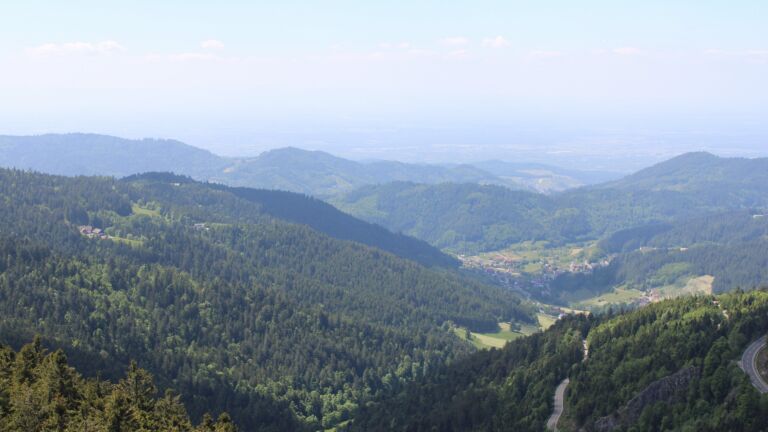 Dieses Bild zeigt eine Webcam-Aufnahme vom Achertal, aufgenommen am Donnerstag, den 15.05.2025 um 14:30 Uhr. Die Temperatur betrug 11.8°C.