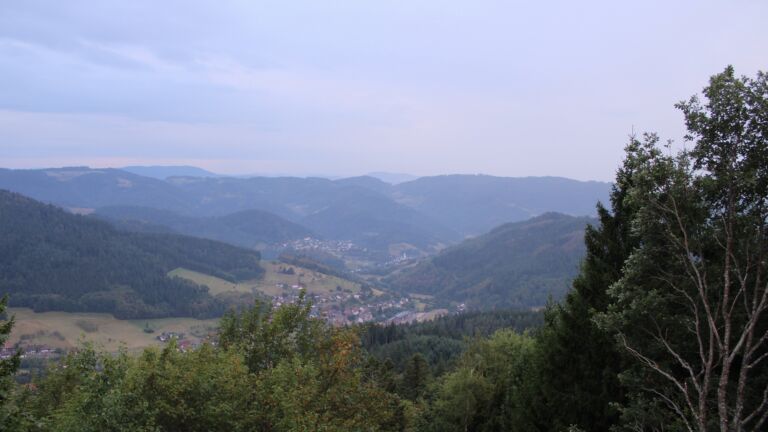 Dieses Bild zeigt eine Webcam-Aufnahme vom Achertal, aufgenommen am Dienstag, den 25.08.2026 um 19:40 Uhr. Die Temperatur betrug 17.3°C.