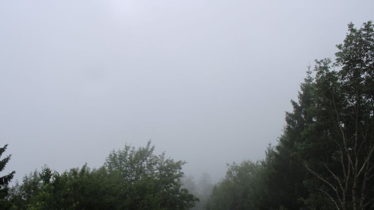 Dieses Bild zeigt eine Webcam-Aufnahme vom Achertal, aufgenommen am Mittwoch, den 01.07.2026 um 10:00 Uhr. Die Temperatur betrug 17.9°C.