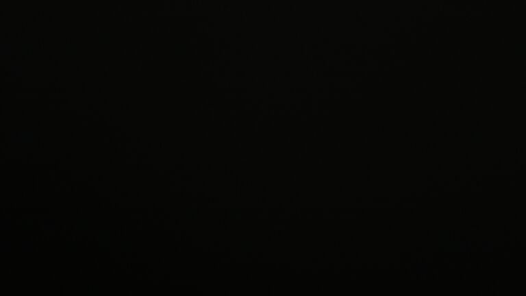 Dieses Bild zeigt eine Webcam-Aufnahme vom Achertal, aufgenommen am Donnerstag, den 05.06.2025 um 00:00 Uhr. Die Temperatur betrug 11.1°C.