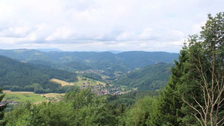 Dieses Bild zeigt eine Webcam-Aufnahme vom Achertal, aufgenommen am Montag, den 29.06.2026 um 11:40 Uhr. Die Temperatur betrug 22.8°C.