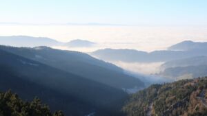 Dieses Bild zeigt eine Webcam-Aufnahme vom Achertal, aufgenommen am Montag, den 29.12.2025 um 15:00 Uhr. Die Temperatur betrug 2.8°C.