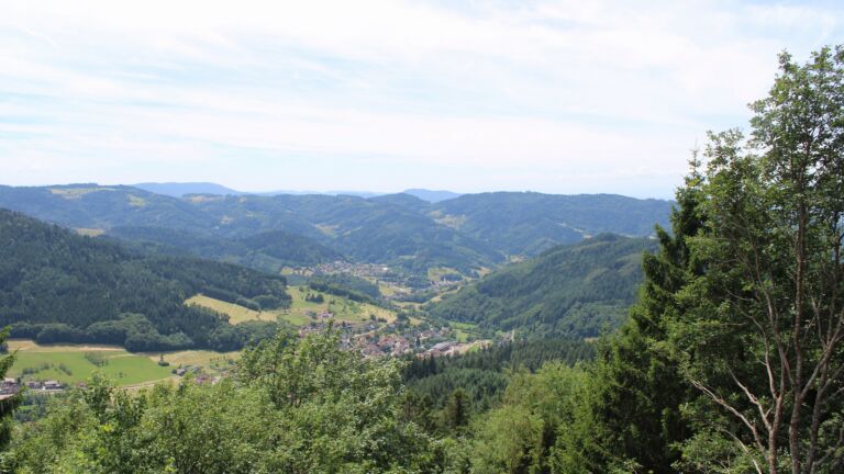 Dieses Bild zeigt eine Webcam-Aufnahme vom Achertal, aufgenommen am Freitag, den 03.07.2026 um 13:50 Uhr. Die Temperatur betrug 23°C.
