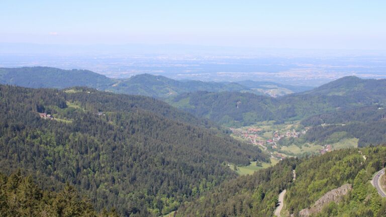 Dieses Bild zeigt eine Webcam-Aufnahme vom Achertal, aufgenommen am Sonntag, den 11.05.2025 um 11:10 Uhr. Die Temperatur betrug 15.5°C.
