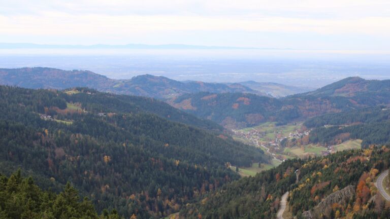 Dieses Bild zeigt eine Webcam-Aufnahme vom Achertal, aufgenommen am Freitag, den 31.10.2025 um 13:30 Uhr. Die Temperatur betrug 10.8°C.