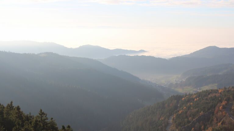 Dieses Bild zeigt eine Webcam-Aufnahme vom Achertal, aufgenommen am Samstag, den 08.11.2025 um 15:50 Uhr. Die Temperatur betrug 11.4°C.