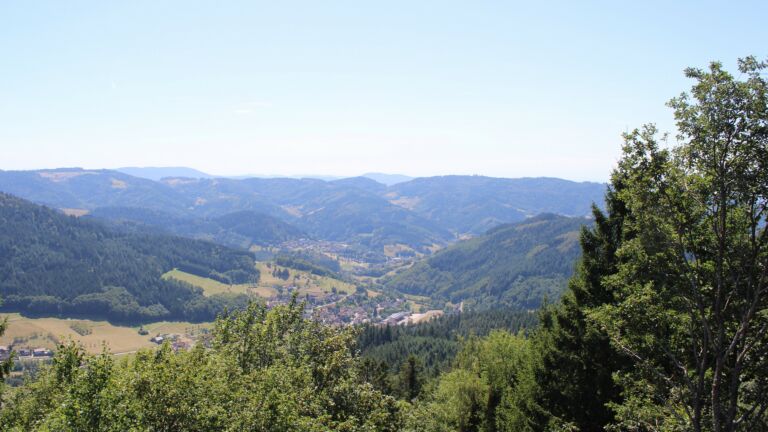 Dieses Bild zeigt eine Webcam-Aufnahme vom Achertal, aufgenommen am Samstag, den 08.08.2026 um 14:50 Uhr. Die Temperatur betrug 31.2°C.