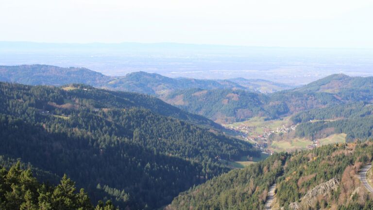 Dieses Bild zeigt eine Webcam-Aufnahme vom Achertal, aufgenommen am Donnerstag, den 13.11.2025 um 11:30 Uhr. Die Temperatur betrug 15.4°C.