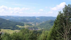 Dieses Bild zeigt eine Webcam-Aufnahme vom Achertal, aufgenommen am Donnerstag, den 23.07.2026 um 11:30 Uhr. Die Temperatur betrug 17.9°C.