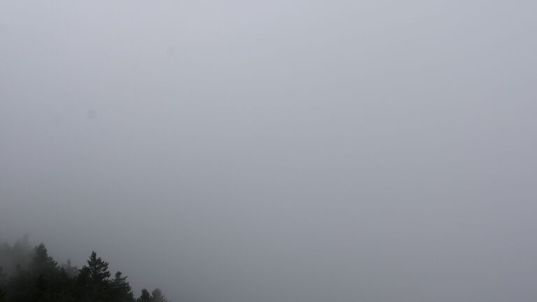Dieses Bild zeigt eine Webcam-Aufnahme vom Achertal, aufgenommen am Mittwoch, den 20.08.2025 um 13:30 Uhr. Die Temperatur betrug 17.2°C.