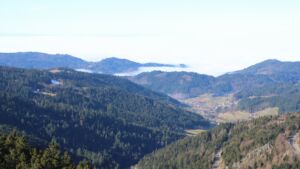 Dieses Bild zeigt eine Webcam-Aufnahme vom Achertal, aufgenommen am Sonntag, den 08.02.2026 um 12:00 Uhr. Die Temperatur betrug 4.6°C.