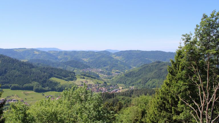 Dieses Bild zeigt eine Webcam-Aufnahme vom Achertal, aufgenommen am Samstag, den 23.05.2026 um 12:00 Uhr. Die Temperatur betrug 24.9°C.