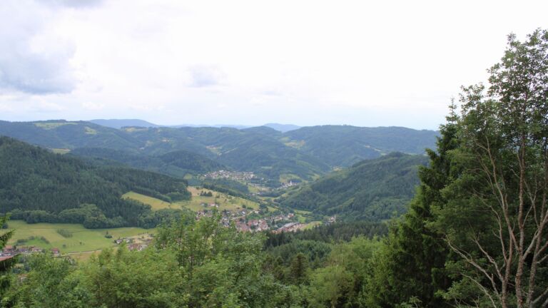 Dieses Bild zeigt eine Webcam-Aufnahme vom Achertal, aufgenommen am Mittwoch, den 10.06.2026 um 12:30 Uhr. Die Temperatur betrug 14.3°C.