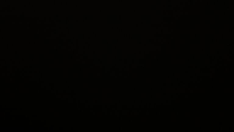 Dieses Bild zeigt eine Webcam-Aufnahme vom Achertal, aufgenommen am Montag, den 24.11.2025 um 23:30 Uhr. Die Temperatur betrug 0.4°C.