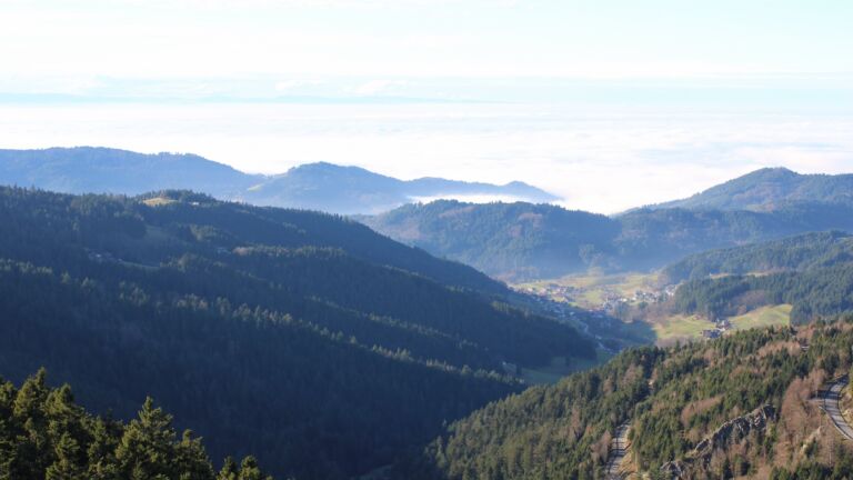 Dieses Bild zeigt eine Webcam-Aufnahme vom Achertal, aufgenommen am Mittwoch, den 03.12.2025 um 14:00 Uhr. Die Temperatur betrug 6.1°C.