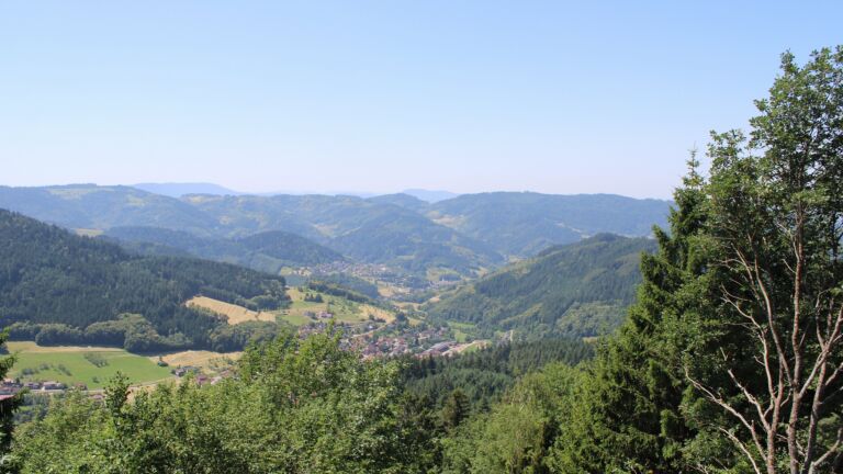 Dieses Bild zeigt eine Webcam-Aufnahme vom Achertal, aufgenommen am Donnerstag, den 25.06.2026 um 12:30 Uhr. Die Temperatur betrug 31.7°C.