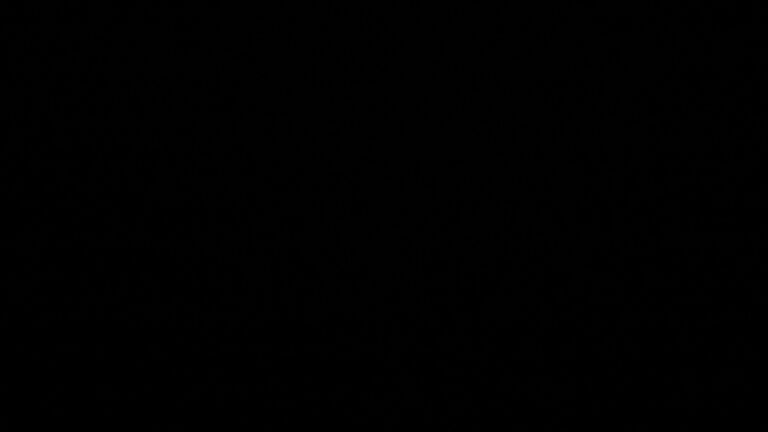 Dieses Bild zeigt eine Webcam-Aufnahme vom Achertal, aufgenommen am Dienstag, den 24.02.2026 um 04:30 Uhr. Die Temperatur betrug 4.9°C.