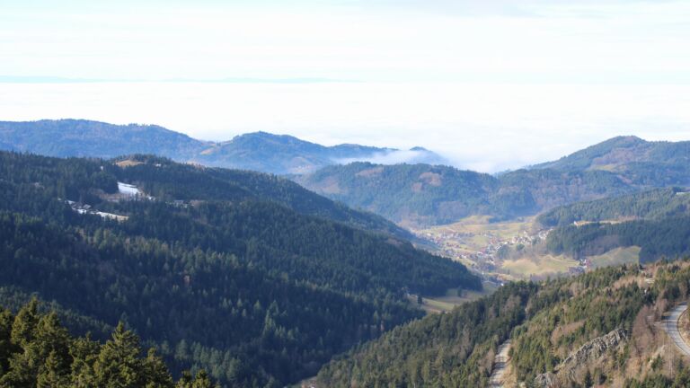 Dieses Bild zeigt eine Webcam-Aufnahme vom Achertal, aufgenommen am Donnerstag, den 05.02.2026 um 12:50 Uhr. Die Temperatur betrug 7.1°C.