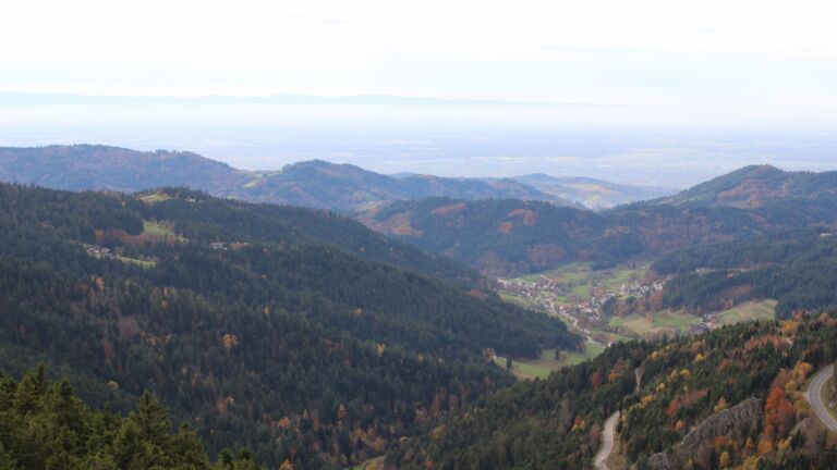 Dieses Bild zeigt eine Webcam-Aufnahme vom Achertal, aufgenommen am Freitag, den 31.10.2025 um 14:50 Uhr. Die Temperatur betrug 10.8°C.