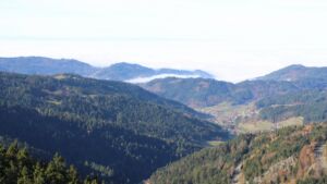 Dieses Bild zeigt eine Webcam-Aufnahme vom Achertal, aufgenommen am Montag, den 10.11.2025 um 11:20 Uhr. Die Temperatur betrug 7.2°C.