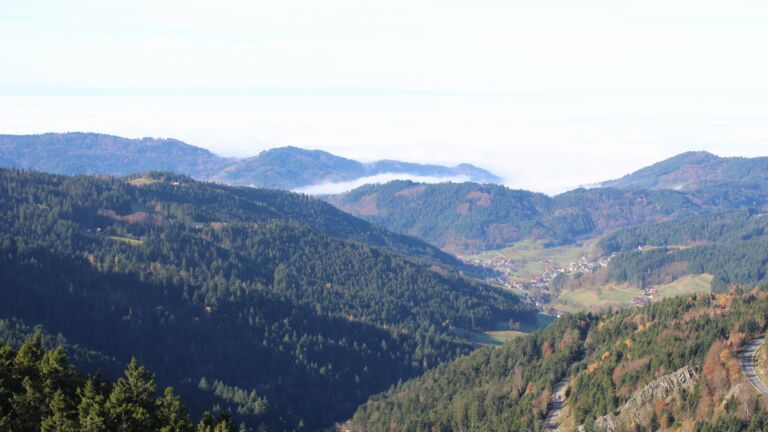 Dieses Bild zeigt eine Webcam-Aufnahme vom Achertal, aufgenommen am Montag, den 10.11.2025 um 11:20 Uhr. Die Temperatur betrug 7.2°C.