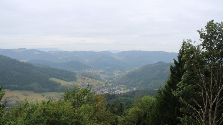 Dieses Bild zeigt eine Webcam-Aufnahme vom Achertal, aufgenommen am Dienstag, den 25.08.2026 um 10:30 Uhr. Die Temperatur betrug 14.5°C.