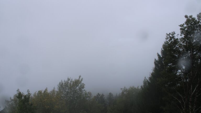 Dieses Bild zeigt eine Webcam-Aufnahme vom Achertal, aufgenommen am Sonntag, den 18.10.2026 um 11:00 Uhr. Die Temperatur betrug 6.9°C.