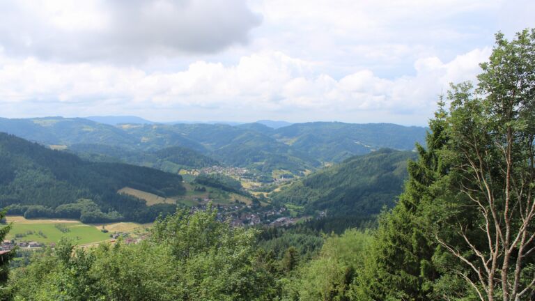 Dieses Bild zeigt eine Webcam-Aufnahme vom Achertal, aufgenommen am Montag, den 29.06.2026 um 12:40 Uhr. Die Temperatur betrug 23.4°C.