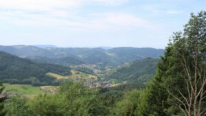 Dieses Bild zeigt eine Webcam-Aufnahme vom Achertal, aufgenommen am Mittwoch, den 17.06.2026 um 11:00 Uhr. Die Temperatur betrug 21.8°C.