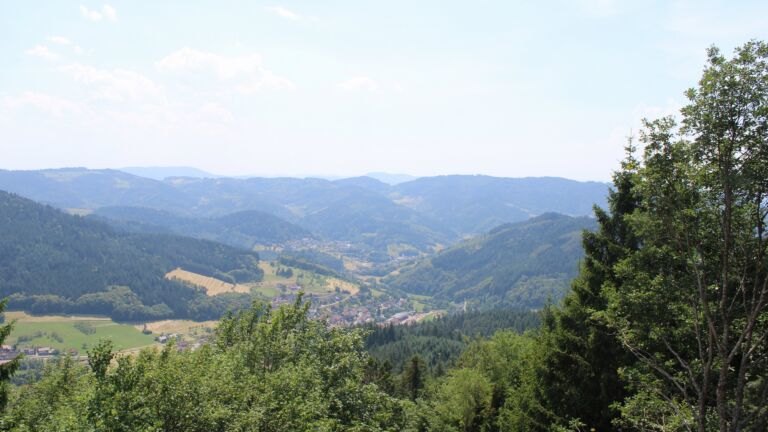 Dieses Bild zeigt eine Webcam-Aufnahme vom Achertal, aufgenommen am Freitag, den 26.06.2026 um 14:50 Uhr. Die Temperatur betrug 37.1°C.