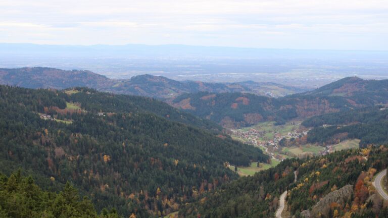 Dieses Bild zeigt eine Webcam-Aufnahme vom Achertal, aufgenommen am Samstag, den 01.11.2025 um 11:40 Uhr. Die Temperatur betrug 12.4°C.