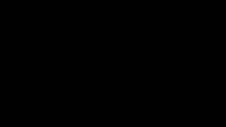 Dieses Bild zeigt eine Webcam-Aufnahme vom Achertal, aufgenommen am Sonntag, den 08.06.2025 um 02:20 Uhr. Die Temperatur betrug 10°C.