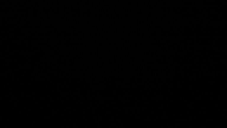 Dieses Bild zeigt eine Webcam-Aufnahme vom Achertal, aufgenommen am Sonntag, den 22.02.2026 um 04:00 Uhr. Die Temperatur betrug 3.9°C.