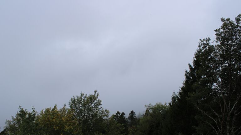 Dieses Bild zeigt eine Webcam-Aufnahme vom Achertal, aufgenommen am Sonntag, den 18.10.2026 um 14:30 Uhr. Die Temperatur betrug 8.3°C.
