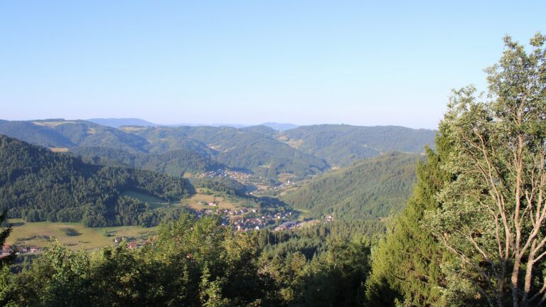 Dieses Bild zeigt eine Webcam-Aufnahme vom Achertal, aufgenommen am Dienstag, den 28.07.2026 um 07:50 Uhr. Die Temperatur betrug 17.1°C.
